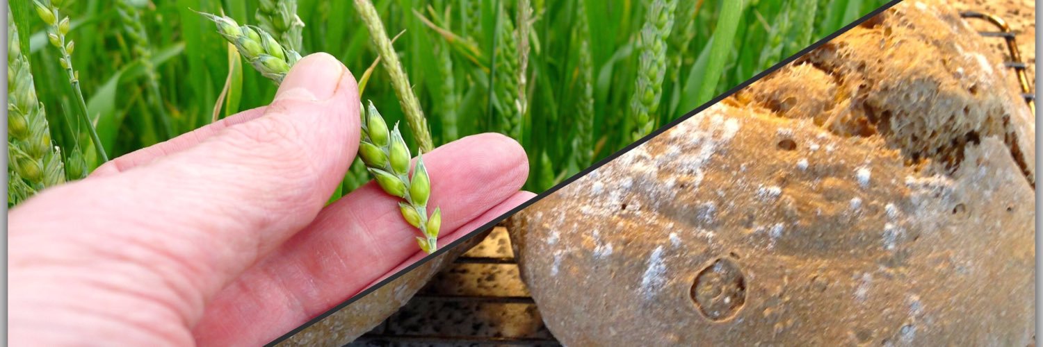 Jake (Steven Jacobs) banner