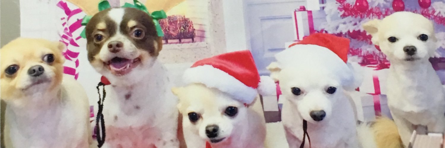 egkix2's profile banner image