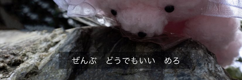 _mokmokmo's profile banner image