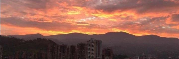 julyareiza's profile banner image