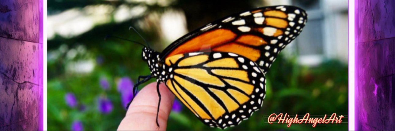 𝒜𝓃𝑔𝑒𝓁🪽 banner