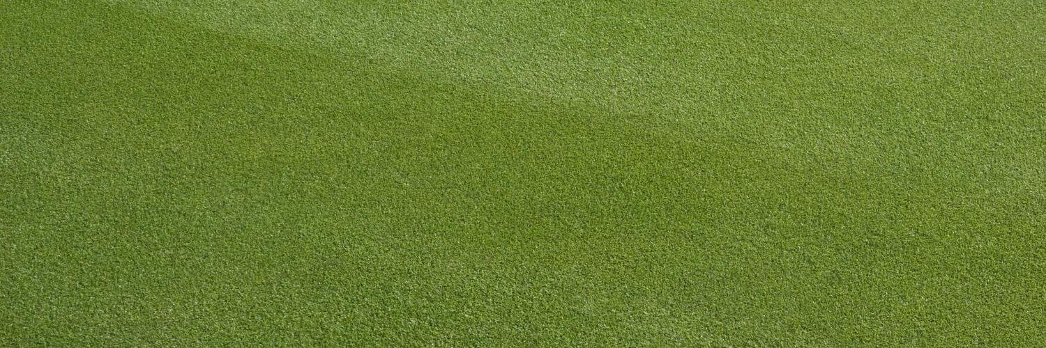 noopable's profile banner image