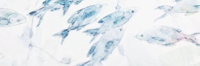 JayWalkEmDownToKFC banner