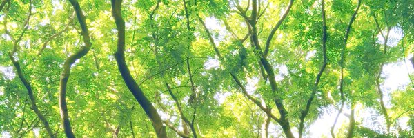 motor_ocea25981 Profile Banner