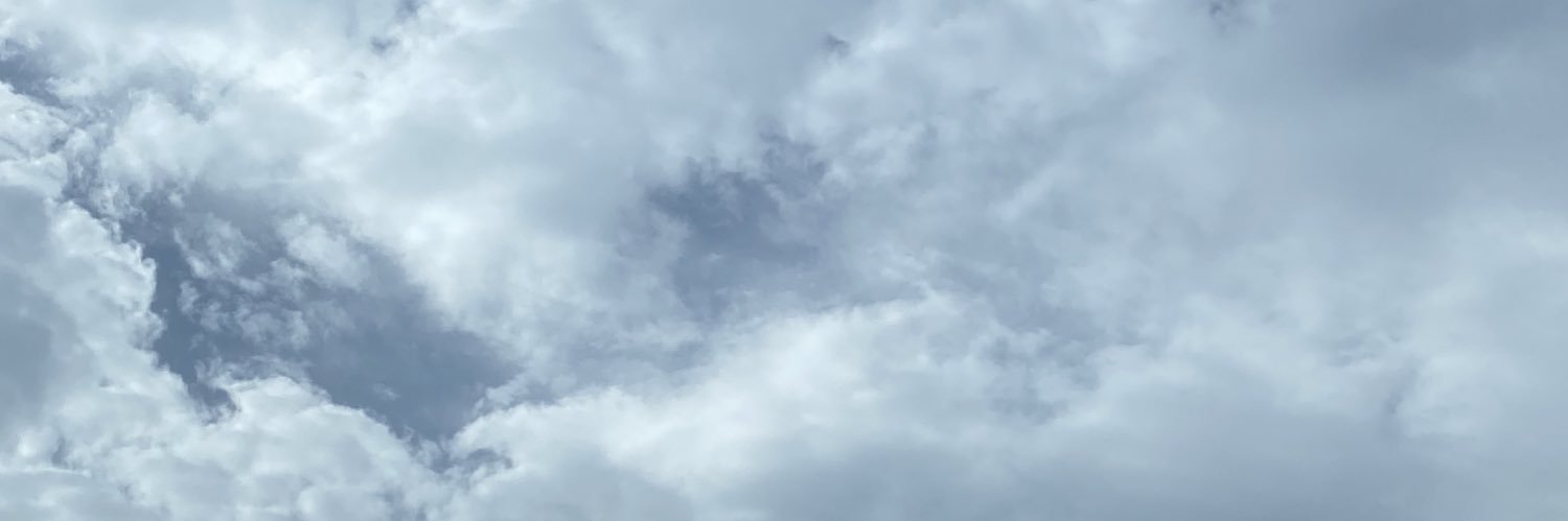 buffalin's profile banner image