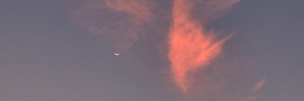 _ssshashank Profile Banner