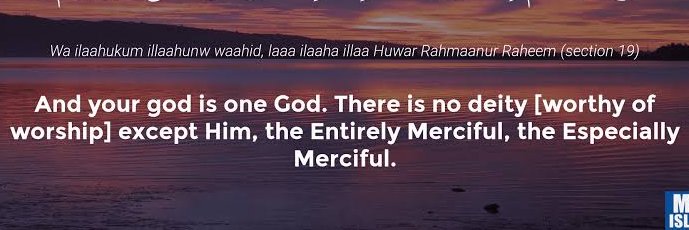 𝕊𝕚𝕝𝕧𝕖𝕣 𝔹𝕠𝕓 Z🍄 🇵🇸🏴‍☠️ banner