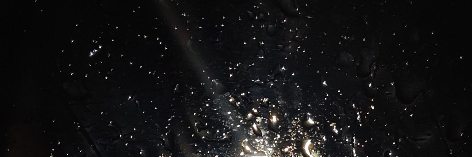 kaafianmol's profile banner image