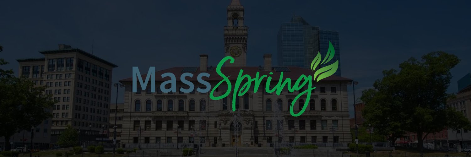 Mass Spring banner