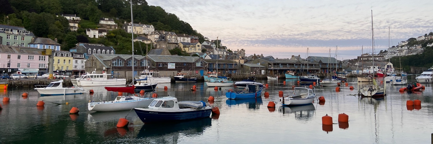 looe's profile banner image