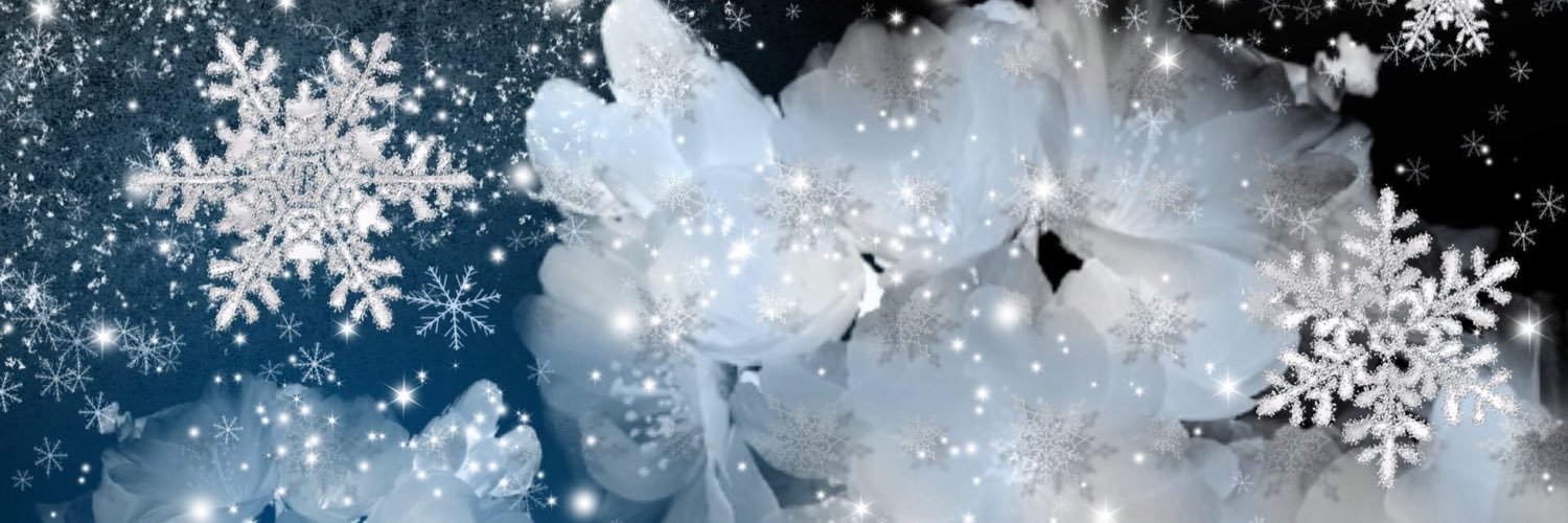 febridil's profile banner image