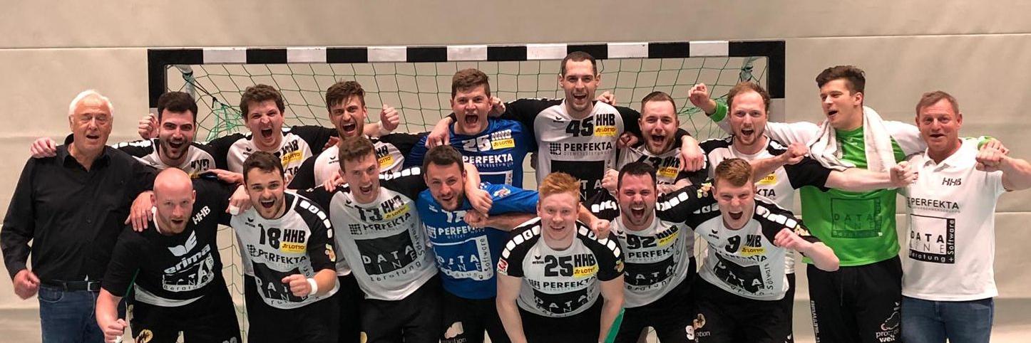 Handballdinos's profile banner image