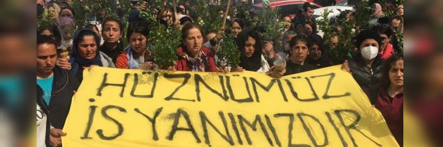 zahter banner