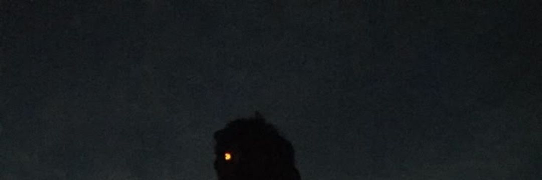 Keropikas's profile banner image