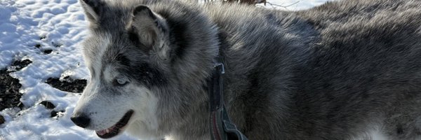 Gen_Xperience Profile Banner