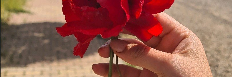 Rojda Özge Kaya banner
