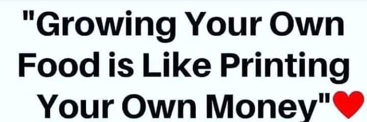 Chief Mbari🇿🇼🇿🇦🇬🇧 banner