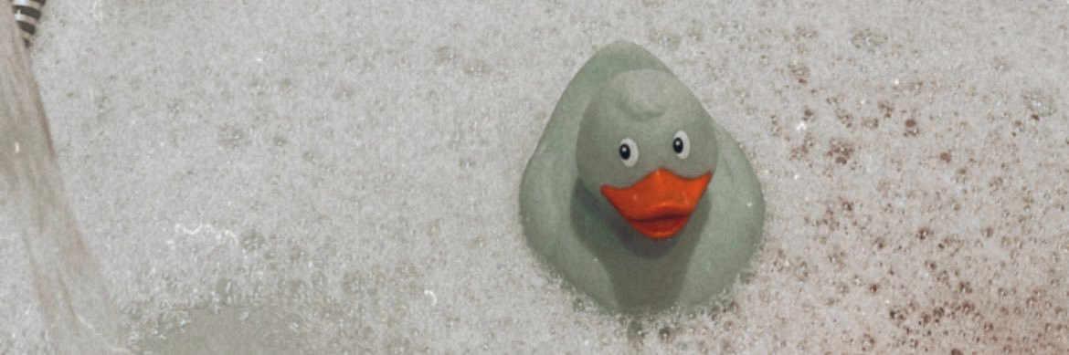 Jantine 💕 🇪🇺🇳🇱 banner