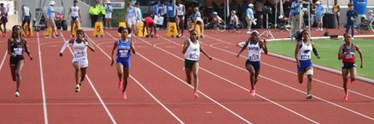 Daisha shular banner