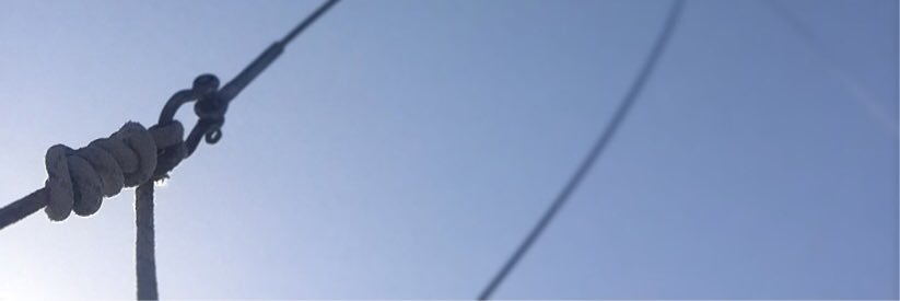 Lena_Wehmeyer's profile banner image