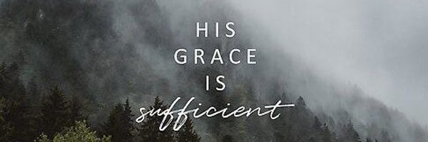 zillyjunkie Profile Banner