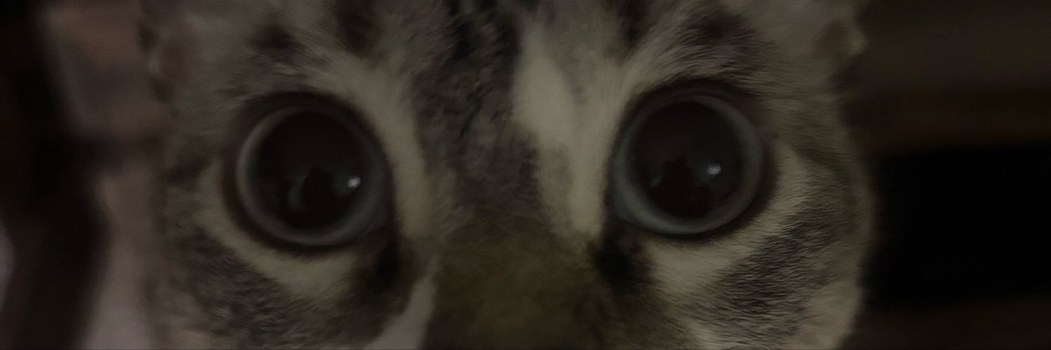 Jackiwiiii's profile banner image