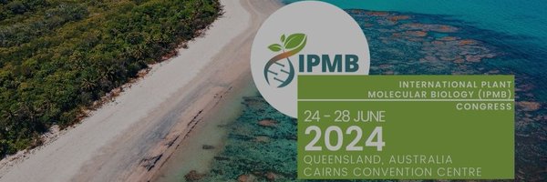 ipmb2024 Profile Banner