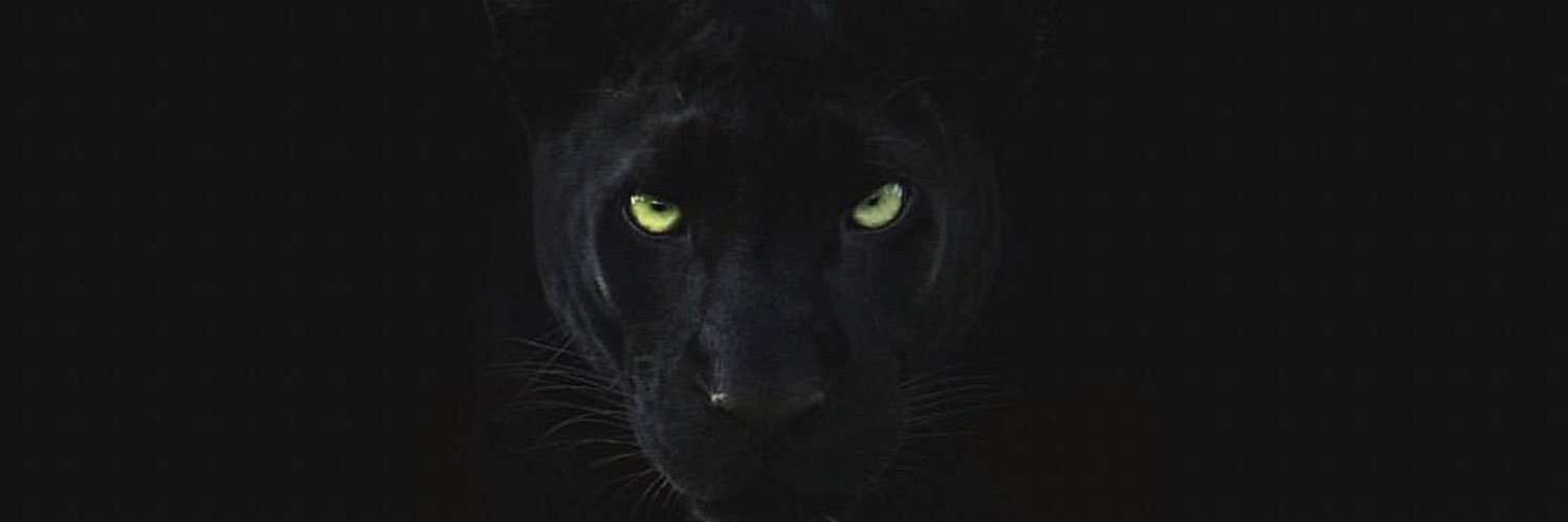 Kam_Ols's profile banner image