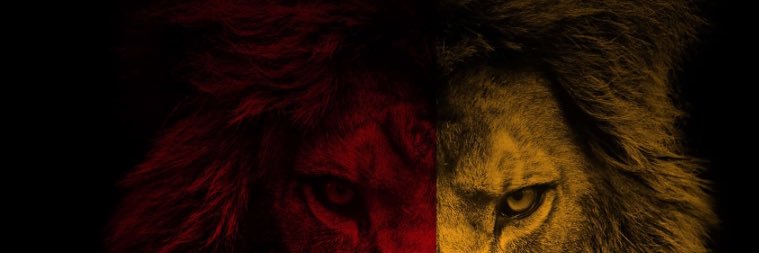 ulas_basarir's profile banner image