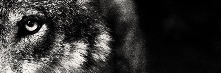 durannb's profile banner image