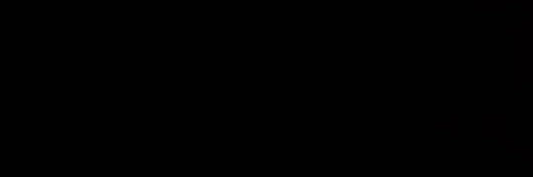 Ramon banner