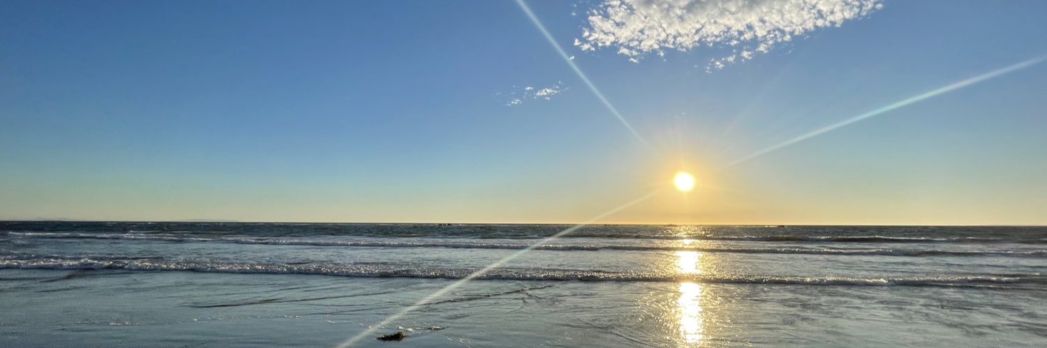 🍍パイン🍍 banner