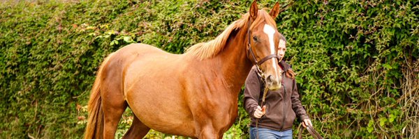 ScoopsRacing Profile Banner