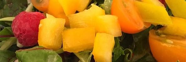 BeingVeganBlog's profile banner image