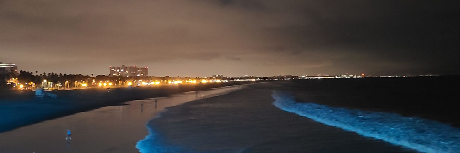 Zitroreversed's profile banner image