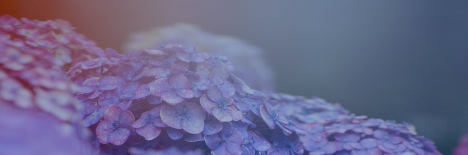 shimaharuka's profile banner image