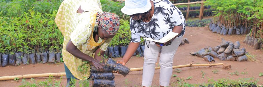 Nandera Elizabeth Fortunate (Omw'eneloba) banner