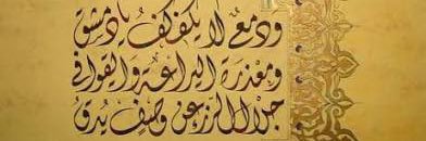 REZA SHAH banner