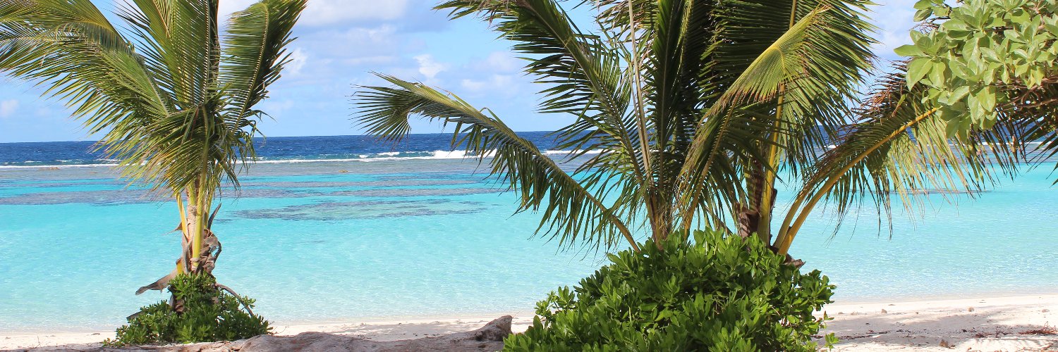 Carole-Ann Berlioz banner