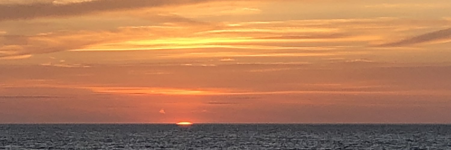 Kathryn Cregg banner