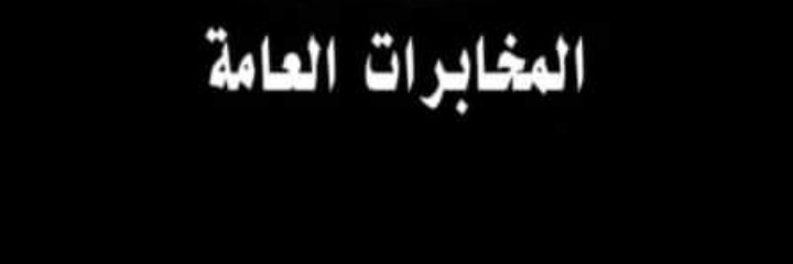 الصقور المصرية _ Egyptian falcons's banner