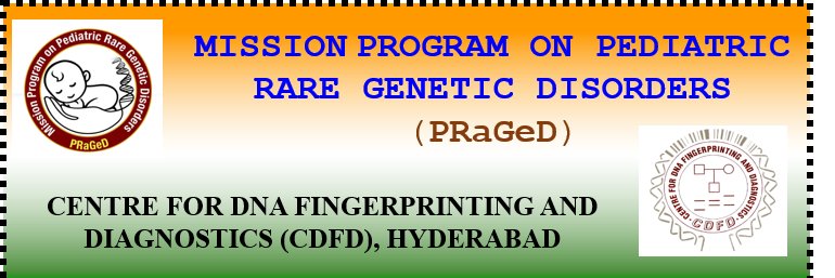 Praged banner