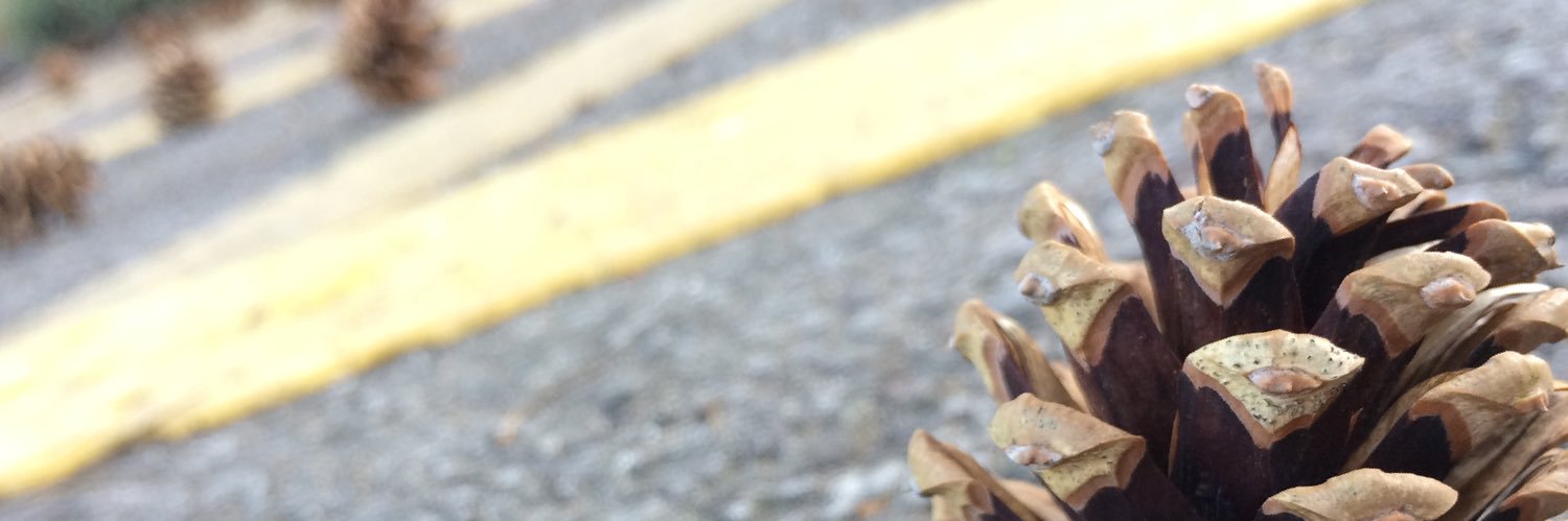 Chrimbob's profile banner image