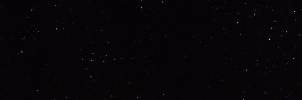 wasabi.algo🌫️'s banner