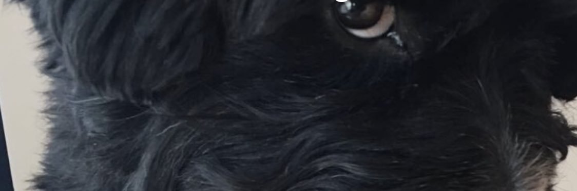 Ryan Sinclair Neale ≅ banner