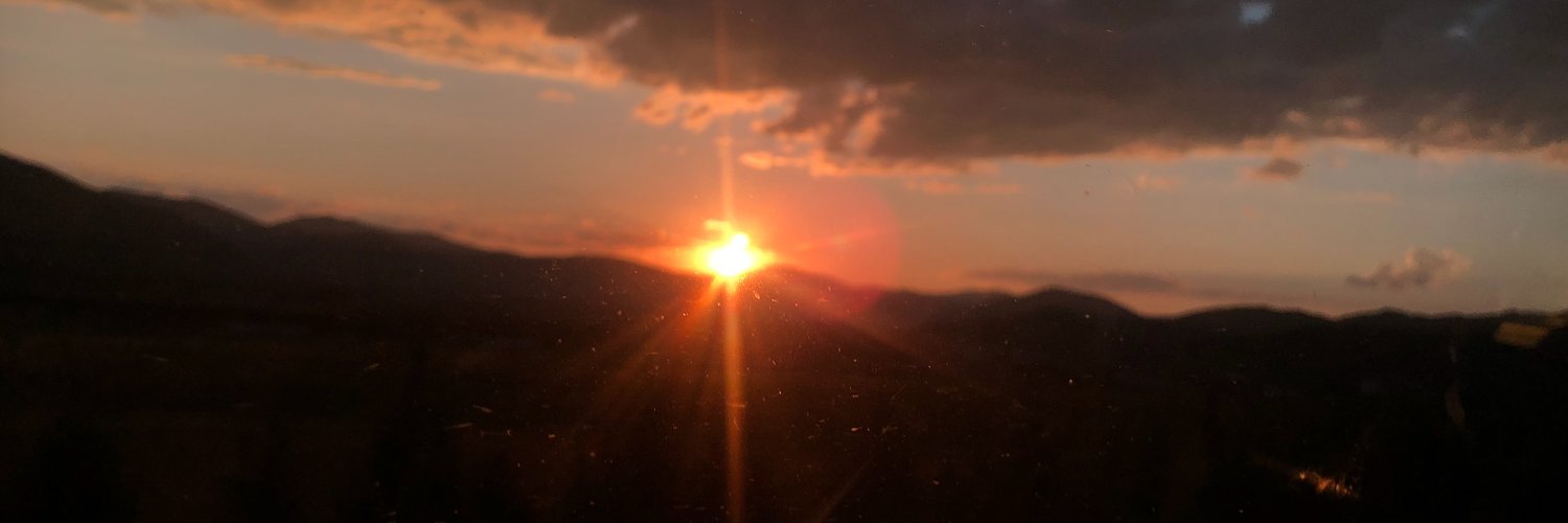 猫狐现在想睡觉 banner