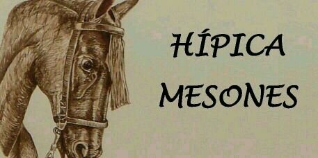 hipicamesones's profile banner image