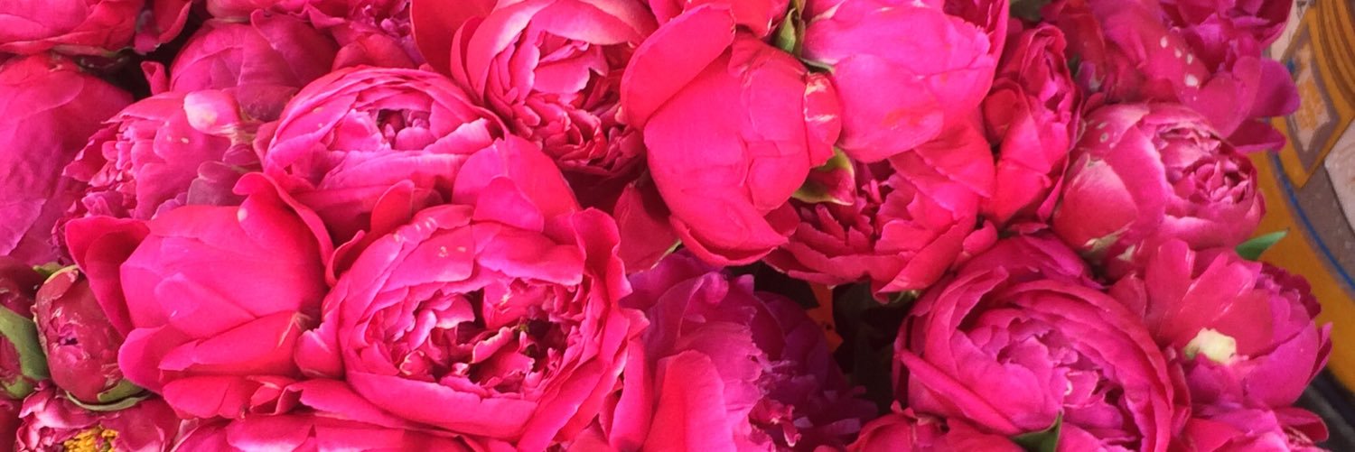 nickinam's profile banner image