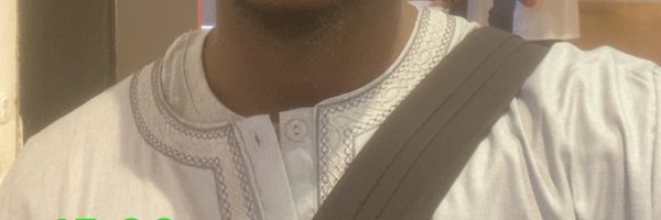 etatmalien Profile Banner