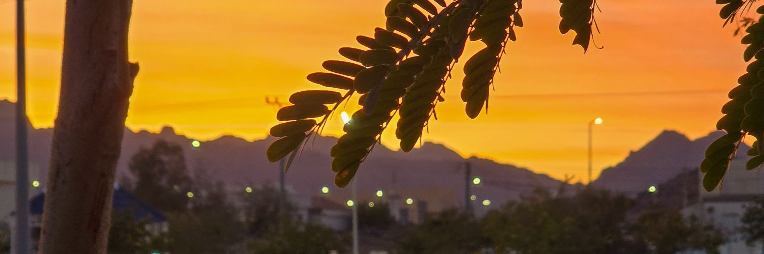 Turki banner